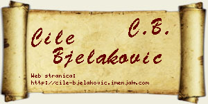 Ćile Bjelaković vizit kartica